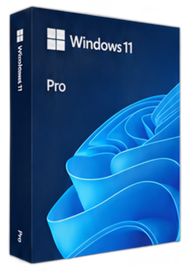 Windows 11 Pro 패키지